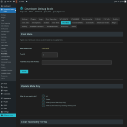 Page screenshot: Developer Debug Tools &rarr; Post Meta