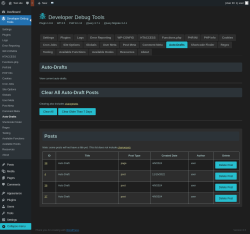 Page screenshot: Developer Debug Tools &rarr; Auto-Drafts