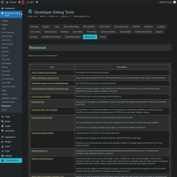 Page screenshot: Developer Debug Tools &rarr; Resources