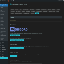 Page screenshot: Developer Debug Tools &rarr; About