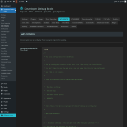 Page screenshot: Developer Debug Tools &rarr; WP-CONFIG
