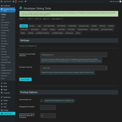 Page screenshot: Developer Debug Tools