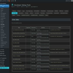 Page screenshot: Developer Debug Tools &rarr; Cron Jobs