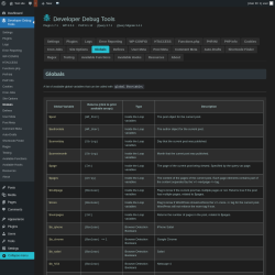 Page screenshot: Developer Debug Tools &rarr; Globals