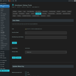 Page screenshot: Developer Debug Tools &rarr; User Meta