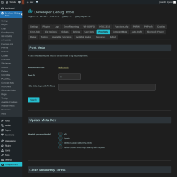 Page screenshot: Developer Debug Tools &rarr; Post Meta