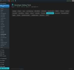 Page screenshot: Developer Debug Tools &rarr; Comment Meta