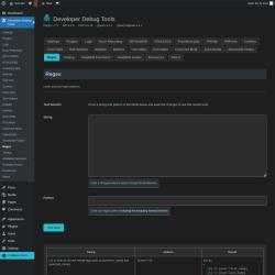 Page screenshot: Developer Debug Tools &rarr; Regex