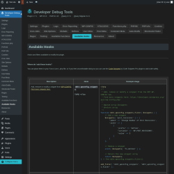 Page screenshot: Developer Debug Tools &rarr; Available Hooks