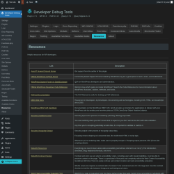 Page screenshot: Developer Debug Tools &rarr; Resources