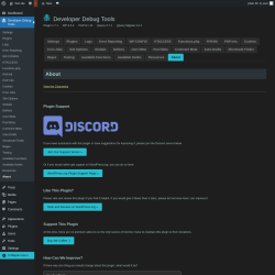 Page screenshot: Developer Debug Tools &rarr; About
