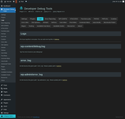 Page screenshot: Developer Debug Tools &rarr; Logs