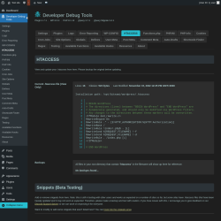 Page screenshot: Developer Debug Tools &rarr; HTACCESS
