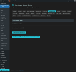 Page screenshot: Developer Debug Tools &rarr; Functions.php