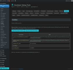 Page screenshot: Developer Debug Tools &rarr; Cookies
