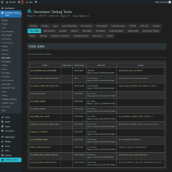 Page screenshot: Developer Debug Tools &rarr; Cron Jobs