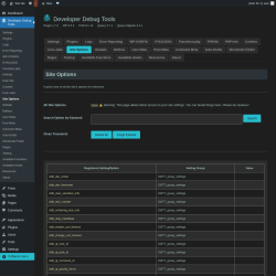 Page screenshot: Developer Debug Tools &rarr; Site Options