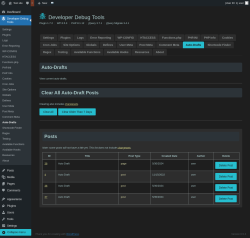 Page screenshot: Developer Debug Tools &rarr; Auto-Drafts