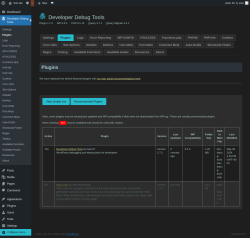 Page screenshot: Developer Debug Tools &rarr; Plugins