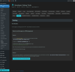 Page screenshot: Developer Debug Tools &rarr; Testing