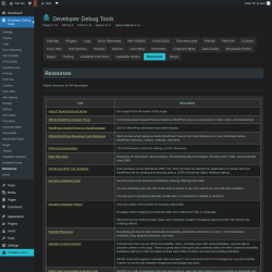 Page screenshot: Developer Debug Tools &rarr; Resources