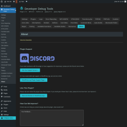 Page screenshot: Developer Debug Tools &rarr; About