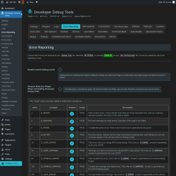 Page screenshot: Developer Debug Tools &rarr; Error Reporting