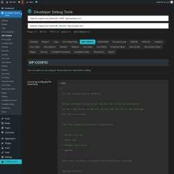 Page screenshot: Developer Debug Tools &rarr; WP-CONFIG