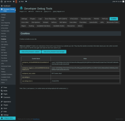 Page screenshot: Developer Debug Tools &rarr; Cookies