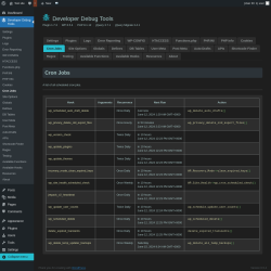 Page screenshot: Developer Debug Tools &rarr; Cron Jobs