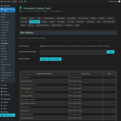 Page screenshot: Developer Debug Tools &rarr; Site Options