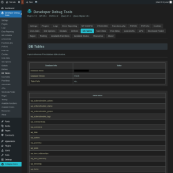 Page screenshot: Developer Debug Tools &rarr; DB Tables