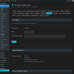 Page screenshot: Developer Debug Tools &rarr; Post Meta