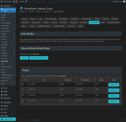 Page screenshot: Developer Debug Tools &rarr; Auto-Drafts