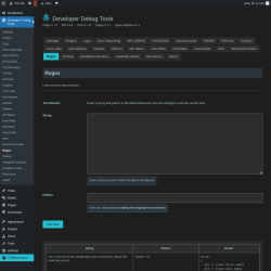 Page screenshot: Developer Debug Tools &rarr; Regex