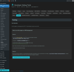 Page screenshot: Developer Debug Tools &rarr; Testing