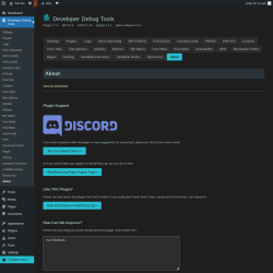 Page screenshot: Developer Debug Tools &rarr; About