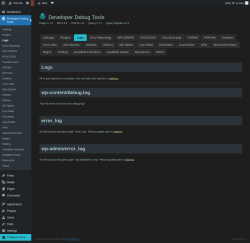 Page screenshot: Developer Debug Tools &rarr; Logs