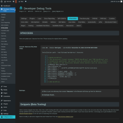 Page screenshot: Developer Debug Tools &rarr; HTACCESS
