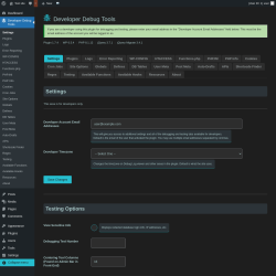 Page screenshot: Developer Debug Tools