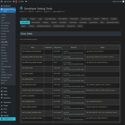 Page screenshot: Developer Debug Tools &rarr; Cron Jobs