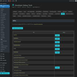Page screenshot: Developer Debug Tools &rarr; APIs
