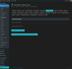 Page screenshot: Developer Debug Tools &rarr; Functions.php