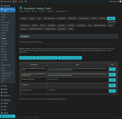 Page screenshot: Developer Debug Tools &rarr; Cookies