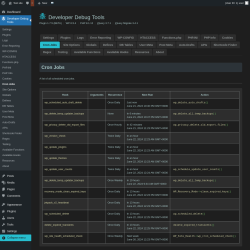 Page screenshot: Developer Debug Tools &rarr; Cron Jobs