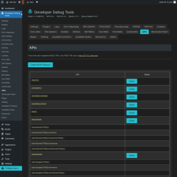 Page screenshot: Developer Debug Tools &rarr; APIs