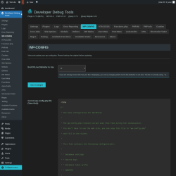 Page screenshot: Developer Debug Tools &rarr; WP-CONFIG