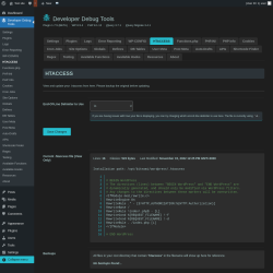 Page screenshot: Developer Debug Tools &rarr; HTACCESS