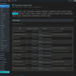 Page screenshot: Developer Debug Tools &rarr; Cron Jobs