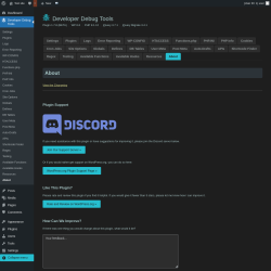 Page screenshot: Developer Debug Tools &rarr; About